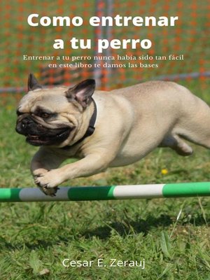 cover image of Como entrenar a tu perro   Entrenar a tu perro nunca había sido tan fácil en este libro te damos las bases